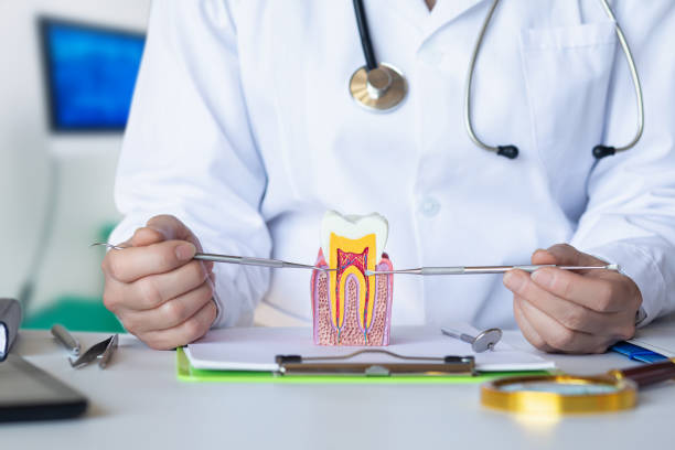 Best Broken Tooth Emergency  in Greenwood, DE